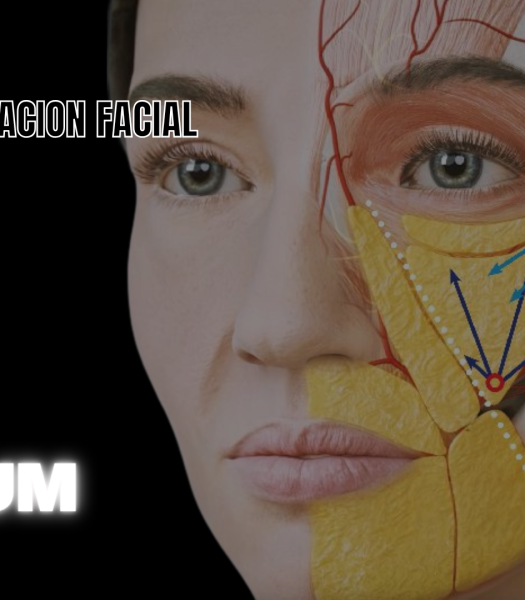 el texto del padre (vídeo)